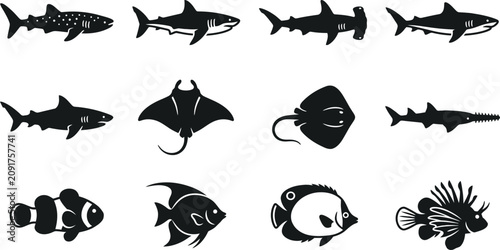 Foto Collection of various sea animal silhouettes including sharks and exotic fish
