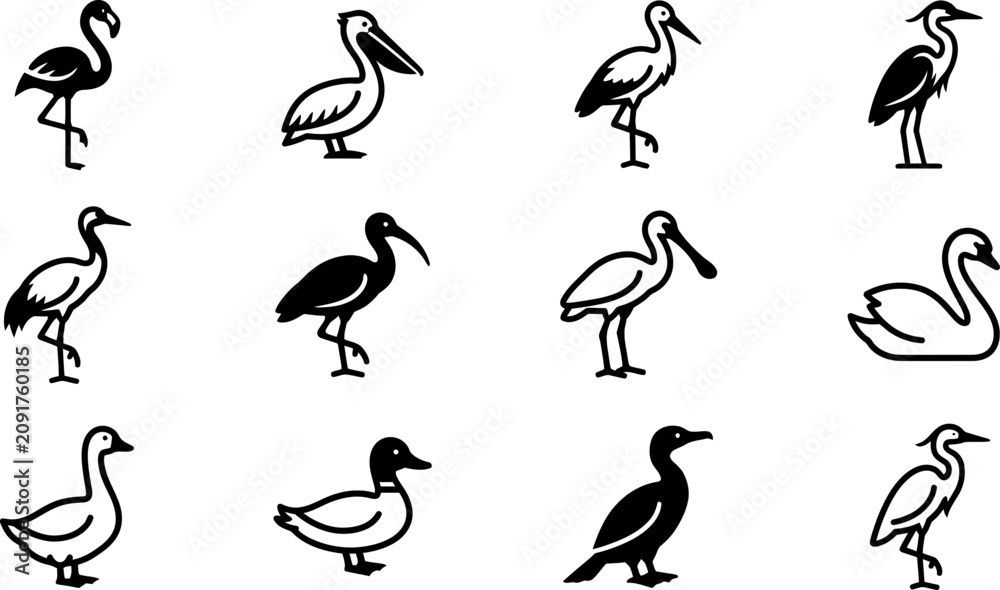 Obraz premium Collection of various water bird silhouettes and icons.