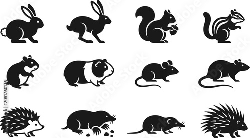Photos Collection of small mammal animal silhouettes icons.