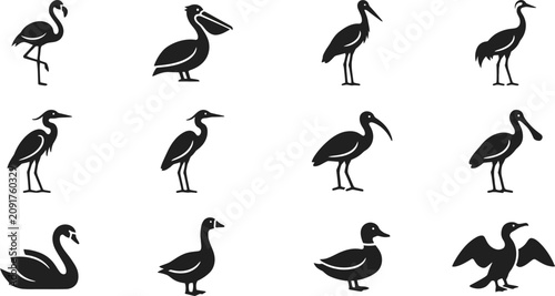 Bild auf Leinwand Collection of various water bird silhouettes and aquatic fowl icons