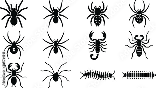 Bild auf Leinwand Collection of various black insect and arachnid silhouettes.
