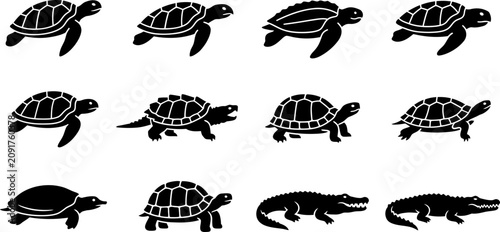 Cuadro en lienzo Collection of black silhouette icons depicting various turtles and crocodiles
