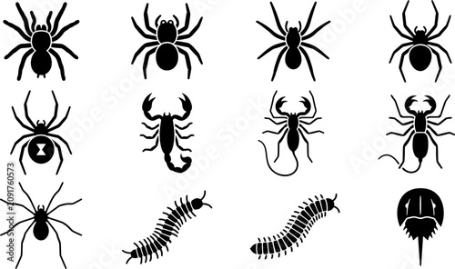 Cuadro en lienzo Set of black silhouettes of spiders scorpions and insects.