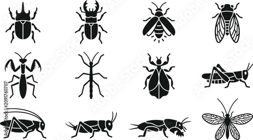 Bild auf Leinwand Set of black insect icons featuring various beetle species and pests