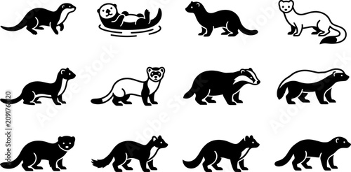 Konstfotografi Set of Various Mustelid Animal Silhouettes and Vector Icons.