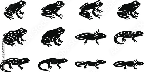 Konstfotografi Set of black and white silhouettes of frogs and salamanders.