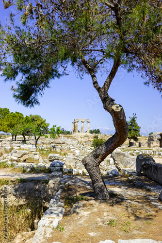 Ancient ruins of Corinth, Greece, with a prominent tree in the foreground and the Temple of Apollo in the background under a clear blue sky.