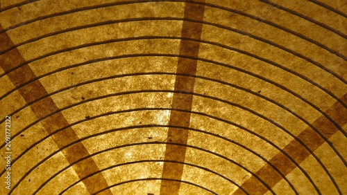Hanging paper lamp. Texture. Warm light.