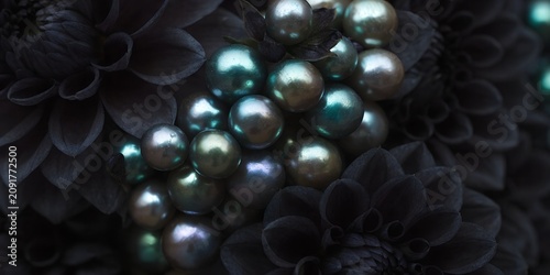 Macro close up of peacock green Tahitian pearls mixed with black dahlia blooms filling frame dark moody palette