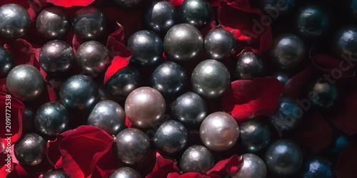Overhead flat lay of dark Tahitian pearls scattered among deep red rose petals filling entire frame dramatic dark tones
