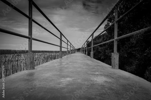 Canvas Print Perspective view of concrete bridge with metal fence on mangrove forest against dramatic grey sky and clouds