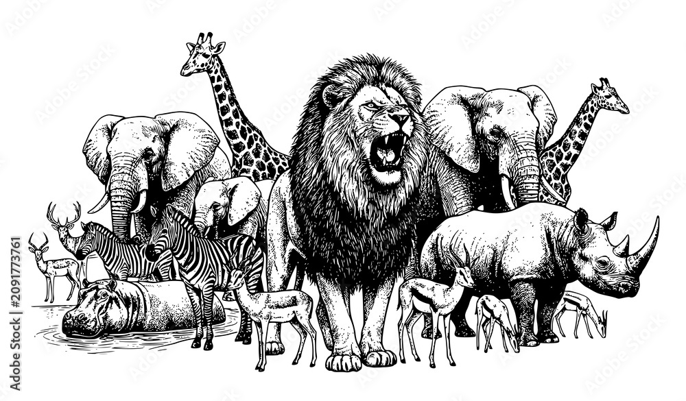 Obraz premium African savanna wildlife animals collection with roaring lion and elephants vector illustration