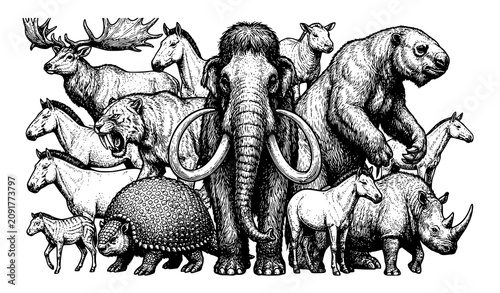 Принти на полотні Prehistoric ice age mammals collection with woolly mammoth line art vector illus