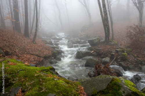 Misty forest stream with mossy rocks and autumn leaves