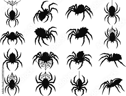Foto Black spider collection with webs halloween and creepy crawly designs