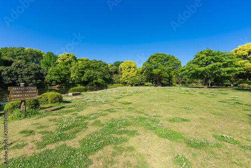 北の丸公園の風景