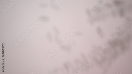 Slika na platnu Abstract blurred shapes and shadows on a light background