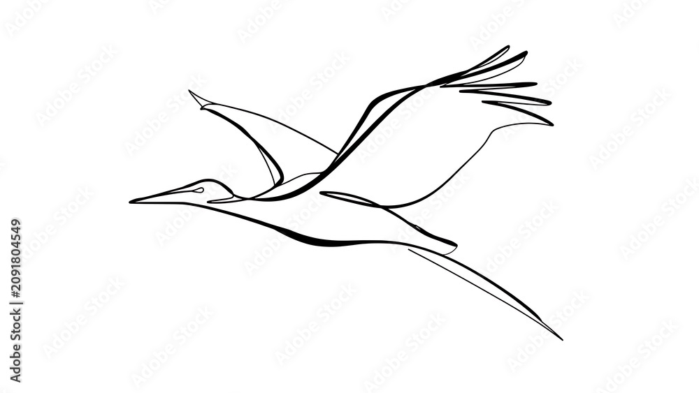 Fototapeta premium Minimalist bird drawing on white background.