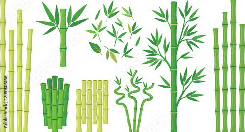 Tableau sur toile Green Bamboo Plant Vector Set Featuring Fresh Stalks, Leaves, Stems, and Lucky S