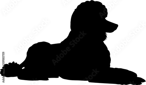 Cuadro en lienzo Poodle Dog Silhouette Vector Illustration , Animal Silhouette Vector , Transpare