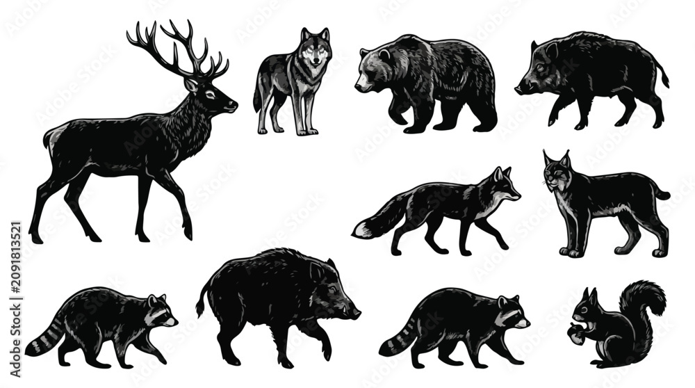 Obraz premium Collection of various wild forest animals in black silhouettes walking and standing