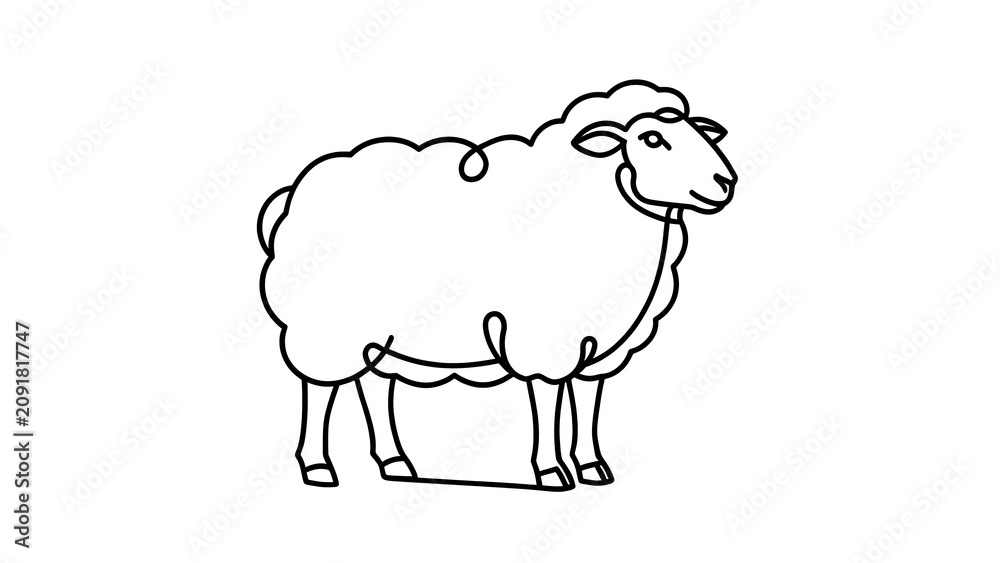 Obraz premium Simple line art sheep illustration white background.