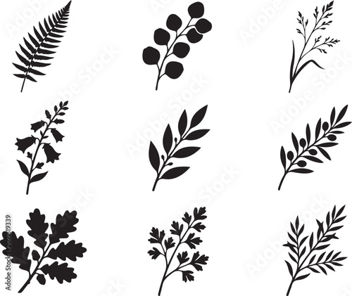Black leaf icons, botanical silhouettes, foliage graphics, vector illustrations