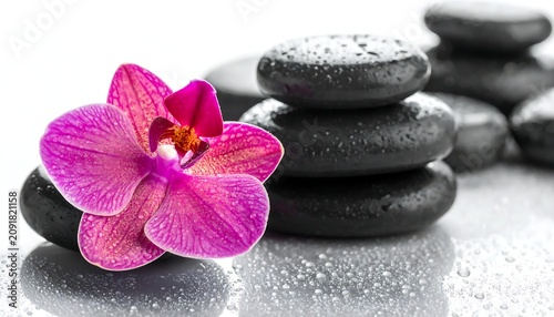 Vibrant Pink Orchid Resting Beside Stacked Black Spa Stones on Wet Reflective Surface
