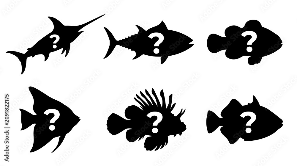 Fototapeta premium six fish silhouettes with question marks inside, isolated on white, symbolizing guessing game, species identification, or uncertainty