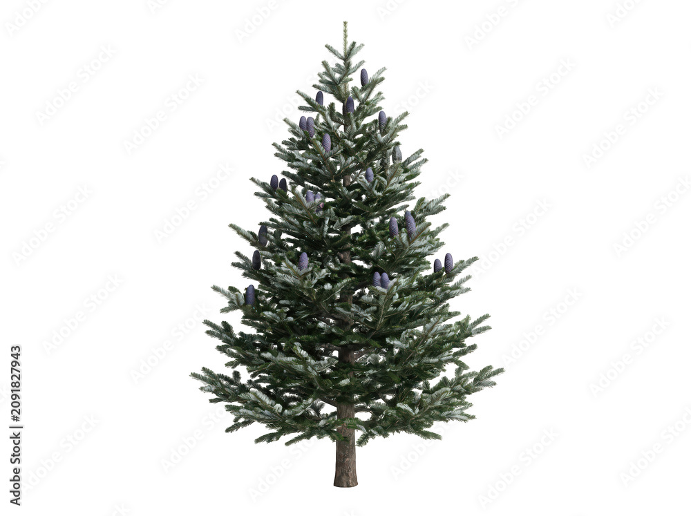 Fototapeta premium Beautiful green christmas tree illustration