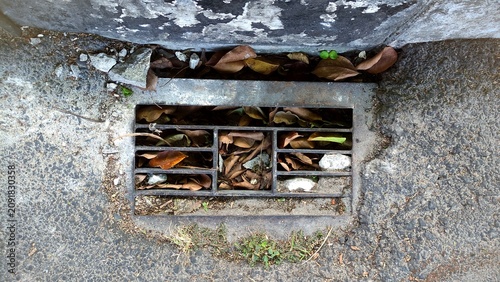 Fotografía Metal storm drain covered with dry leaves and debris beside an asphalt road, illustrating urban drainage, maintenance, and environmental cleanliness