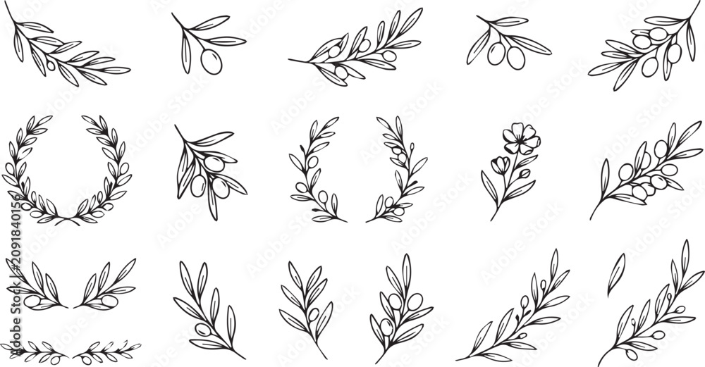 Obraz premium Minimalist Mediterranean olive twig sketch vector collection with elegant Greek wreaths