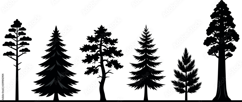 Obraz premium Coniferous Forest Trees Silhouette Set with Pine Spruce Fir and Giant Redwood Evergreen Woodland Elements for Landscape Design Logos and Nature Vectors