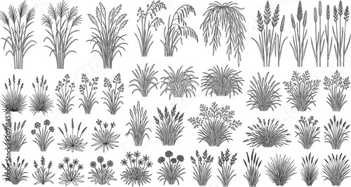 Photos Set of hand drawn meadow grass and ornamental plant line art elements for landsc
