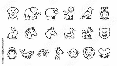 Photography Cute Animal Icons Set: Vector Line Art Collection