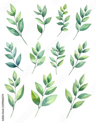 Intricate Green Leaf Sprigs Arrangement Watercolor