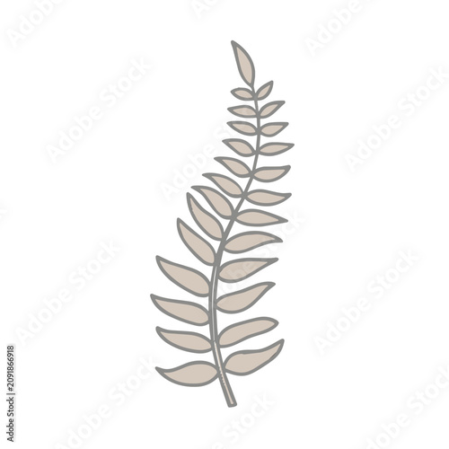 Tropical Leaf Flat Vector Icon