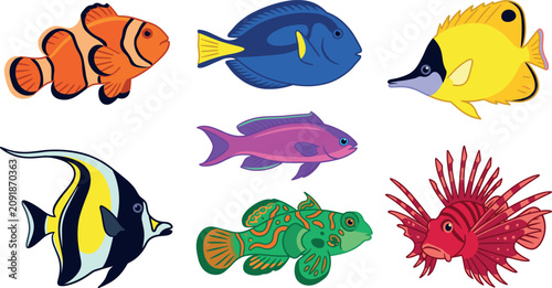 Obraz na płótnie Tropical reef fish vector set with clownfish tang butterflyfish moorish idol man