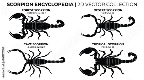 Scorpion encyclopedia presents a detailed two-dimensional vector collection illustrating four distinct species including forest, desert, cave, and tropical scorpions.