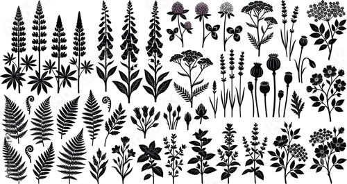 Foto Large collection of wildflower silhouettes including ferns lupines foxgloves and