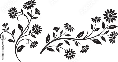 Black and white floral vine with daisies decorative design
