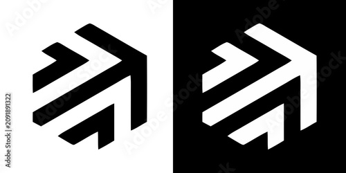 Abstract hexagonal geometric logo icons in black and white variations with geometric abstract monochrome minimalist identity branding structure direction contrast corporate business