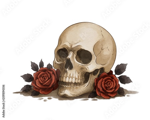Skull with red roses and dark leaves shows a blend of life and death in a simple design 