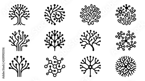 Photos Black and white tree branch.