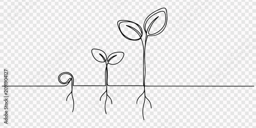 Photos Continuous one line drawing of a plant growing from a seed to a flower, Growth plant stage contour silhouette, one continuous line drawing