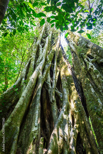 Urlaub im Regenwald von Costa Rica