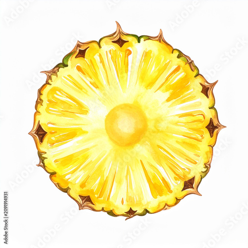 Hand-painted watercolor artwork of pineapple slice, showcasing vibrant fruit colors and fresh, appetizing feel.