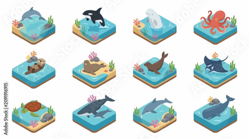 Photography Colorful Isometric Ocean Animals on Small Islands.
