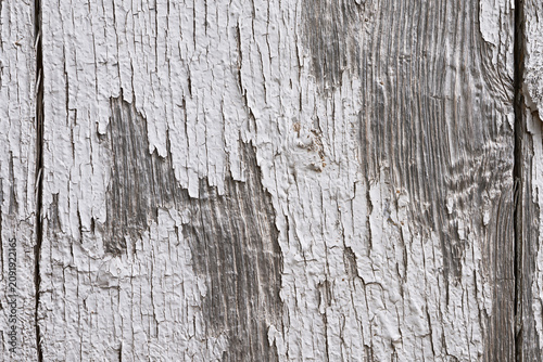 Konstfotografi Intense Cracking and Flaking White Paint on Gray Wood