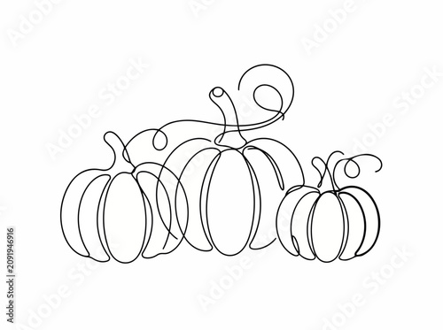 Continuous Line Art Pumpkins Bunch with Curly Vine Autumn Harvest Graphic